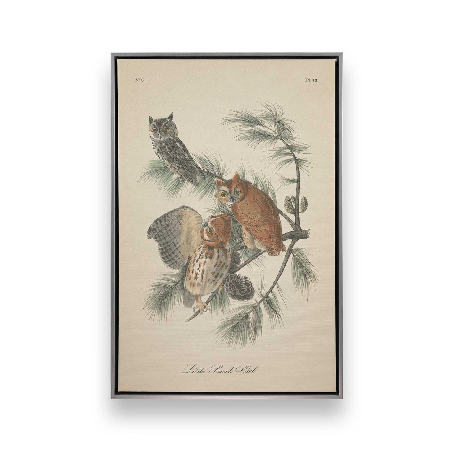 [Color:Polished Chrome], Picture of art in a Polished Chrome frame