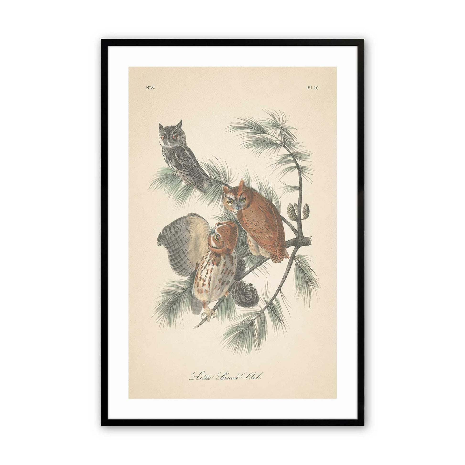 [Color:Satin Black],Front image of the art