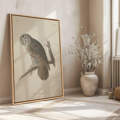 [LIFESTYLE],[SPECIAL],  Picture of art in a room