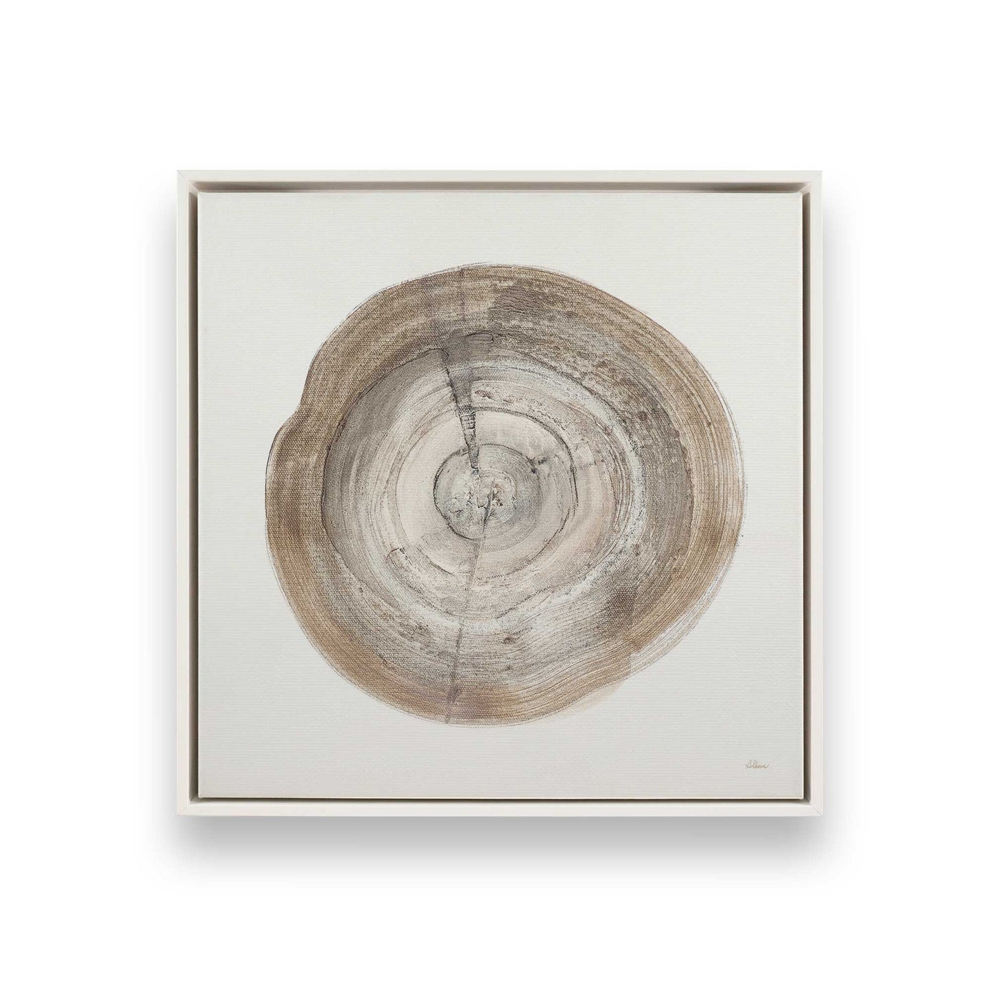 Tree Ring Portraits Canvas Print, Set of 4