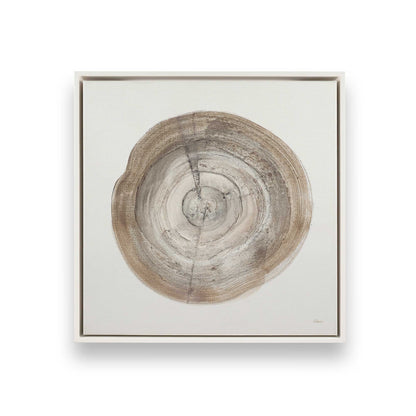 Tree Ring Portraits Canvas Print, Set of 4