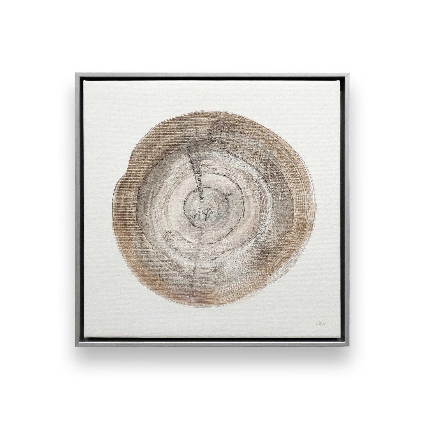 Tree Ring Portraits Canvas Print, Set of 4