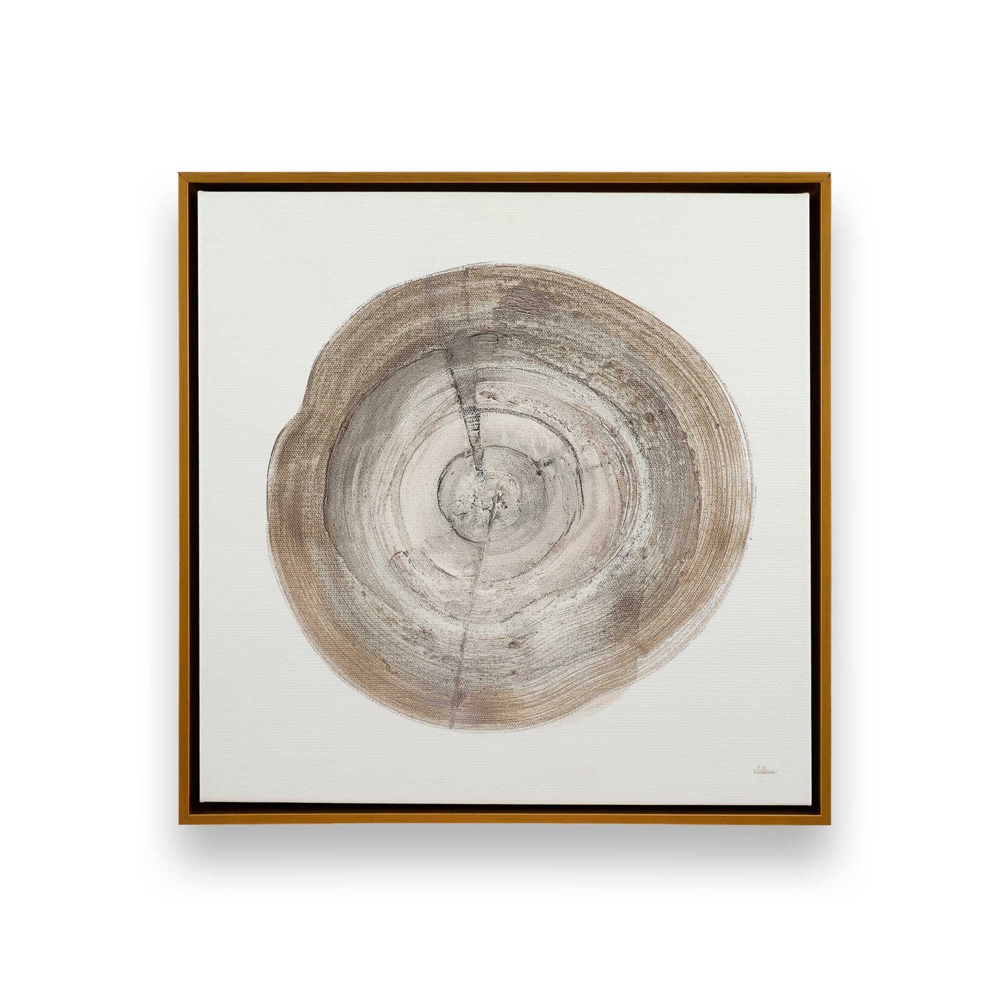 Tree Ring Portraits Canvas Print, Set of 4