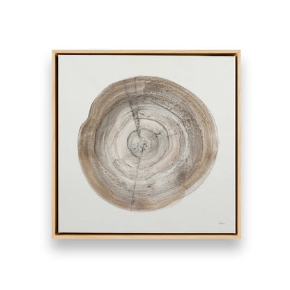 Tree Ring Portraits Canvas Print, Set of 4