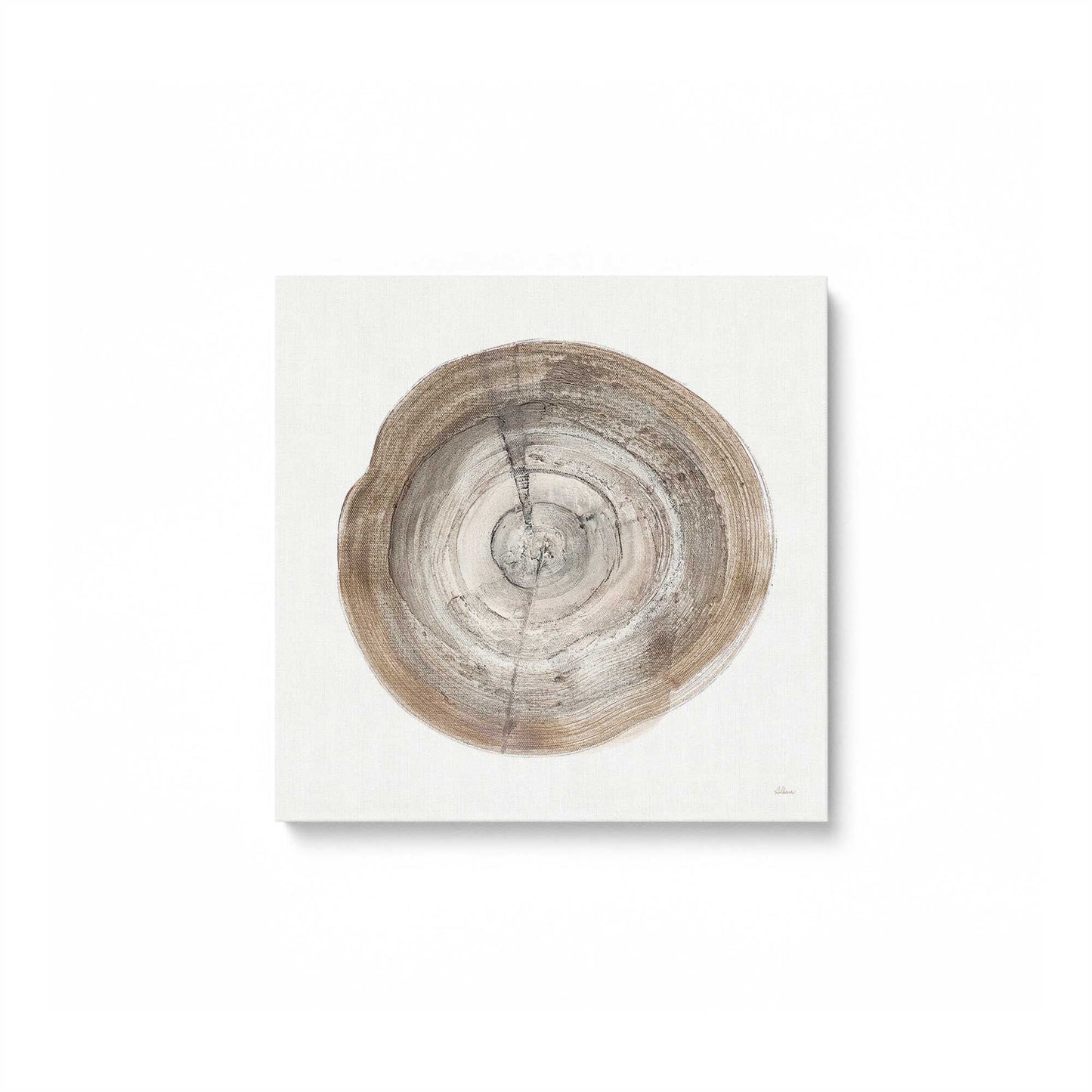 Tree Ring Portraits Canvas Print, Set of 4