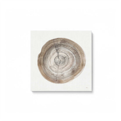 Tree Ring Portraits Canvas Print, Set of 4