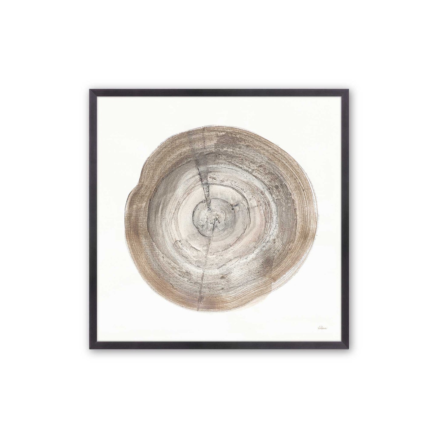 Tree Ring Portraits Art Print, Set of 4