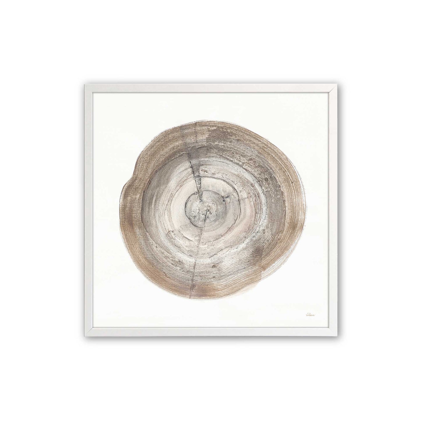 Tree Ring Portraits Art Print, Set of 4