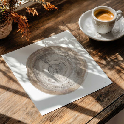 Tree Ring Portrait III Art Print