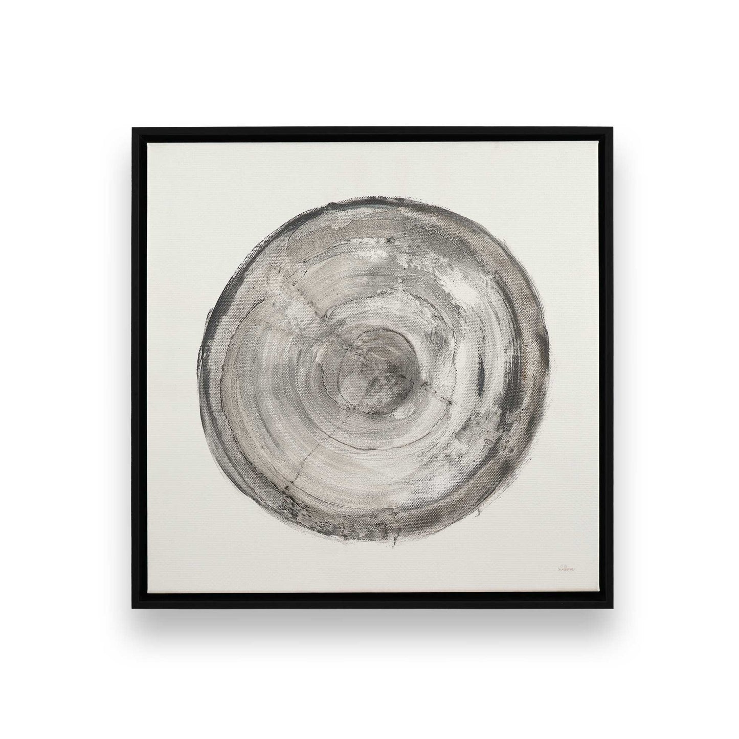 Tree Ring Portraits Canvas Print, Set of 4