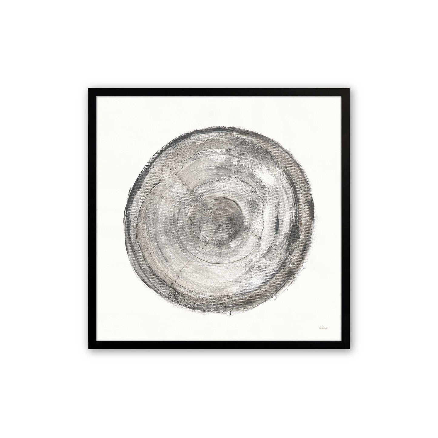 Tree Ring Portraits Art Print, Set of 4