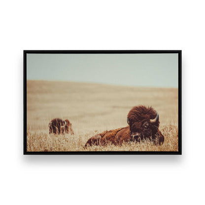 [Color:Satin Black], Front image of the art