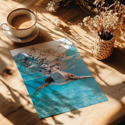 Sea Turtle Swimming I Art Print