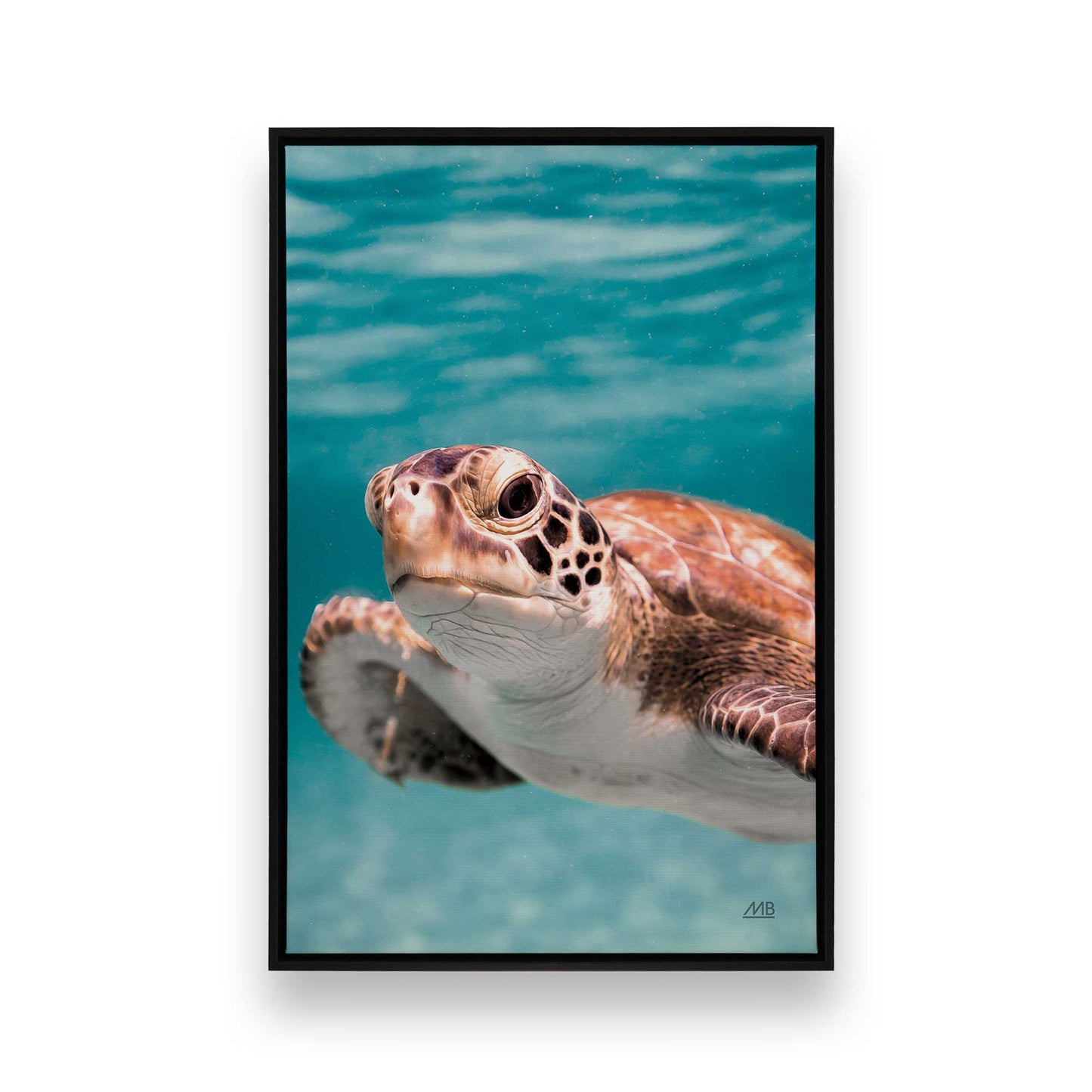 [Color:Satin Black], Front image of the art