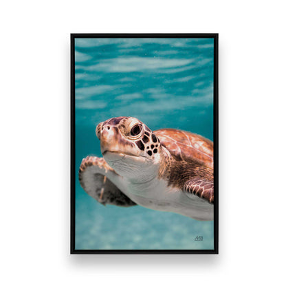 [Color:Satin Black], Front image of the art