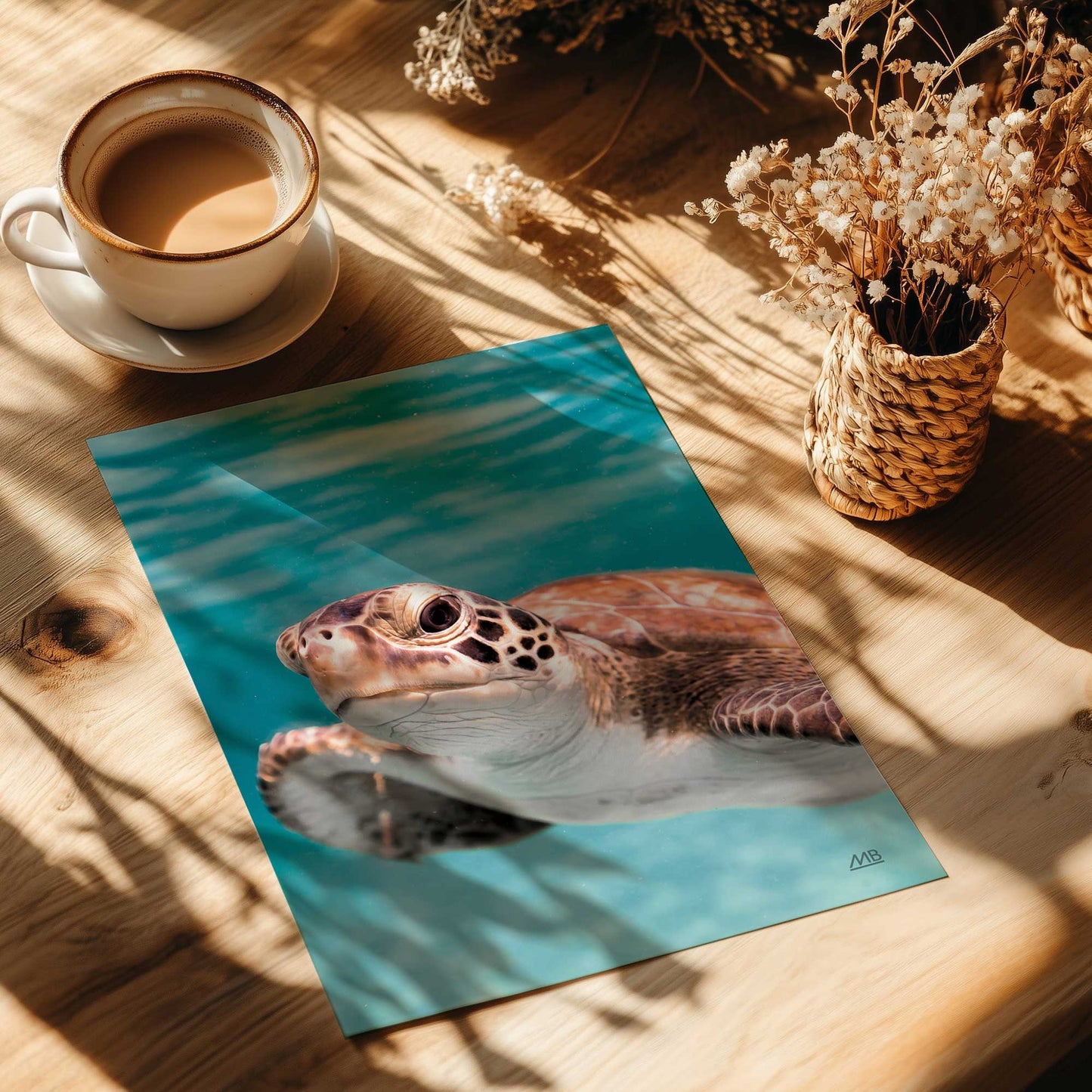Sea Turtle Swimming II Art Print