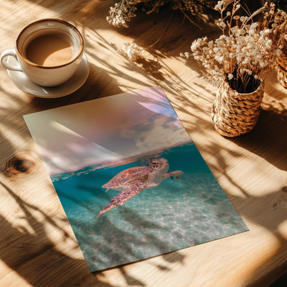 Sea Turtle Swimming III Art Print