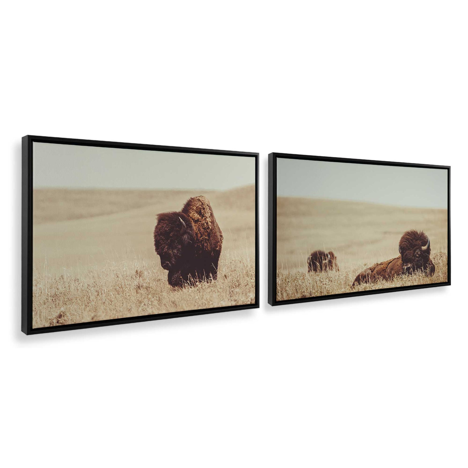 [Color:Satin Black], Picture of art in a Satin Black frame at an angle