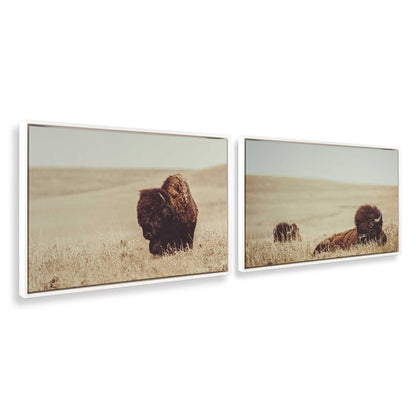 [Color:Opaque White], Picture of art in a White frame at an angle