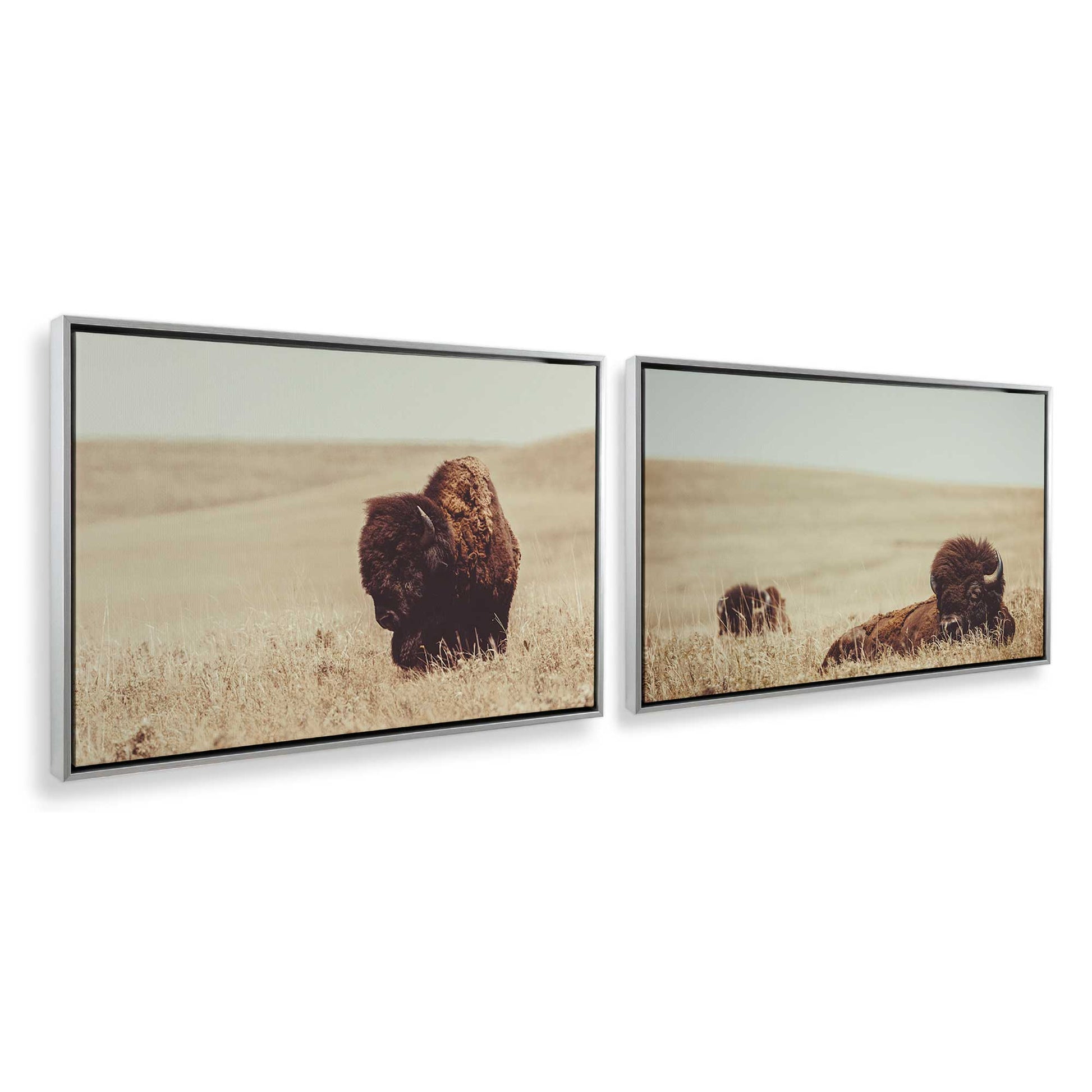 [Color:Polished Chrome], Picture of art in a Polished Chrome frame at an angle