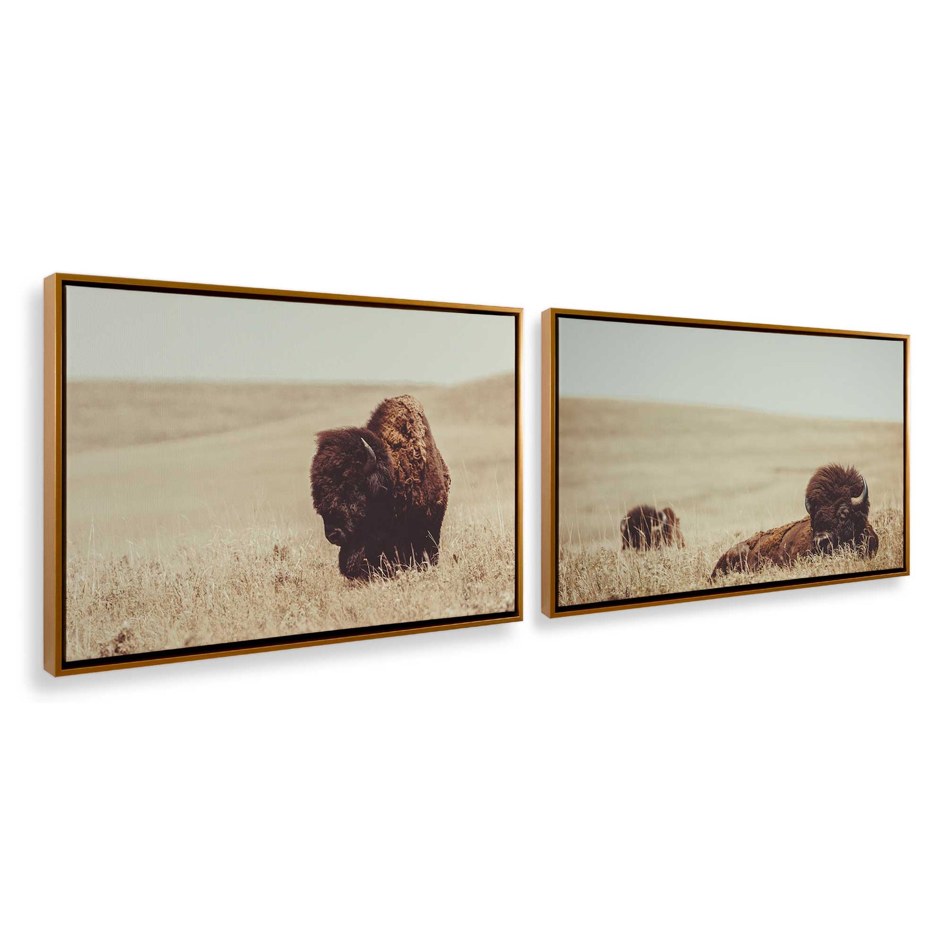 [Color:Polished Gold], Picture of art in a Polished Gold frame at an angle