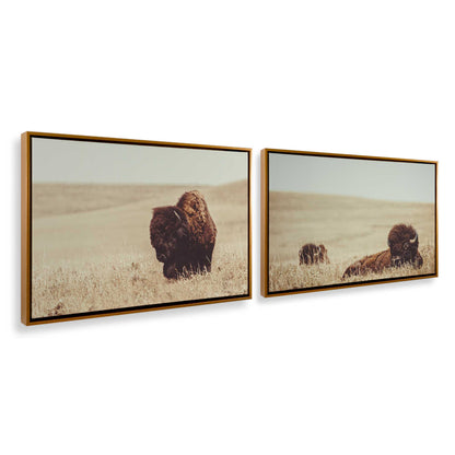 [Color:Polished Gold], Picture of art in a Polished Gold frame at an angle