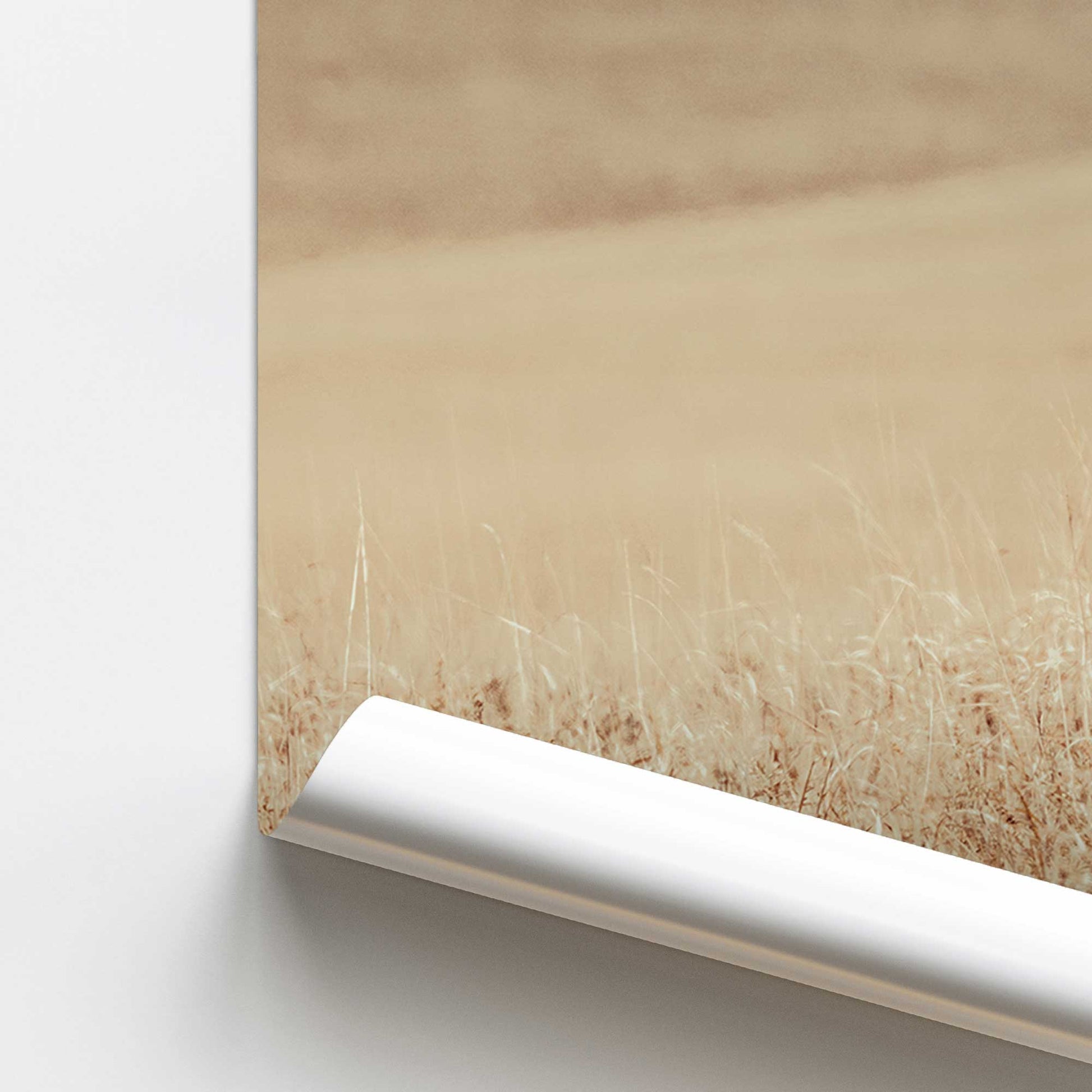 [color:Rolled Print], Picture of close up of art