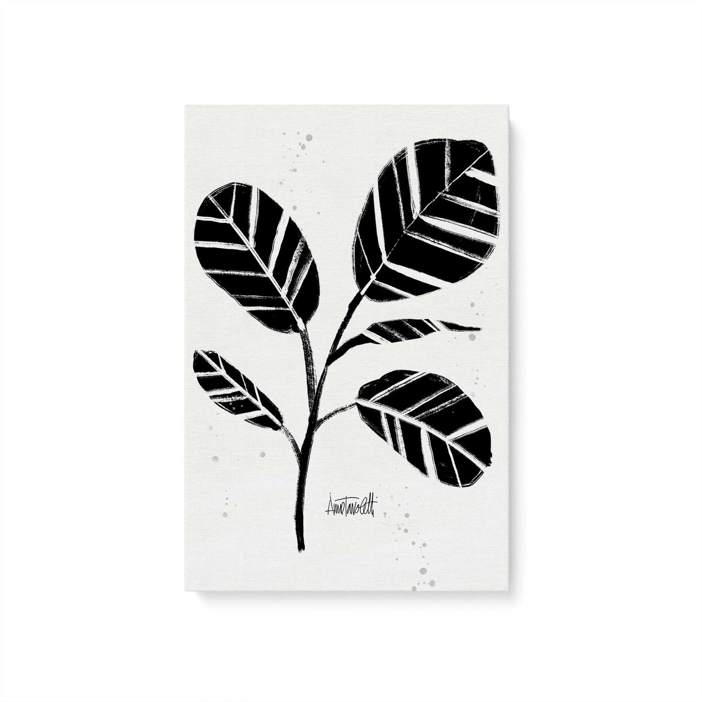 Black and White Botanicals, Set of 4 Canvas Prints