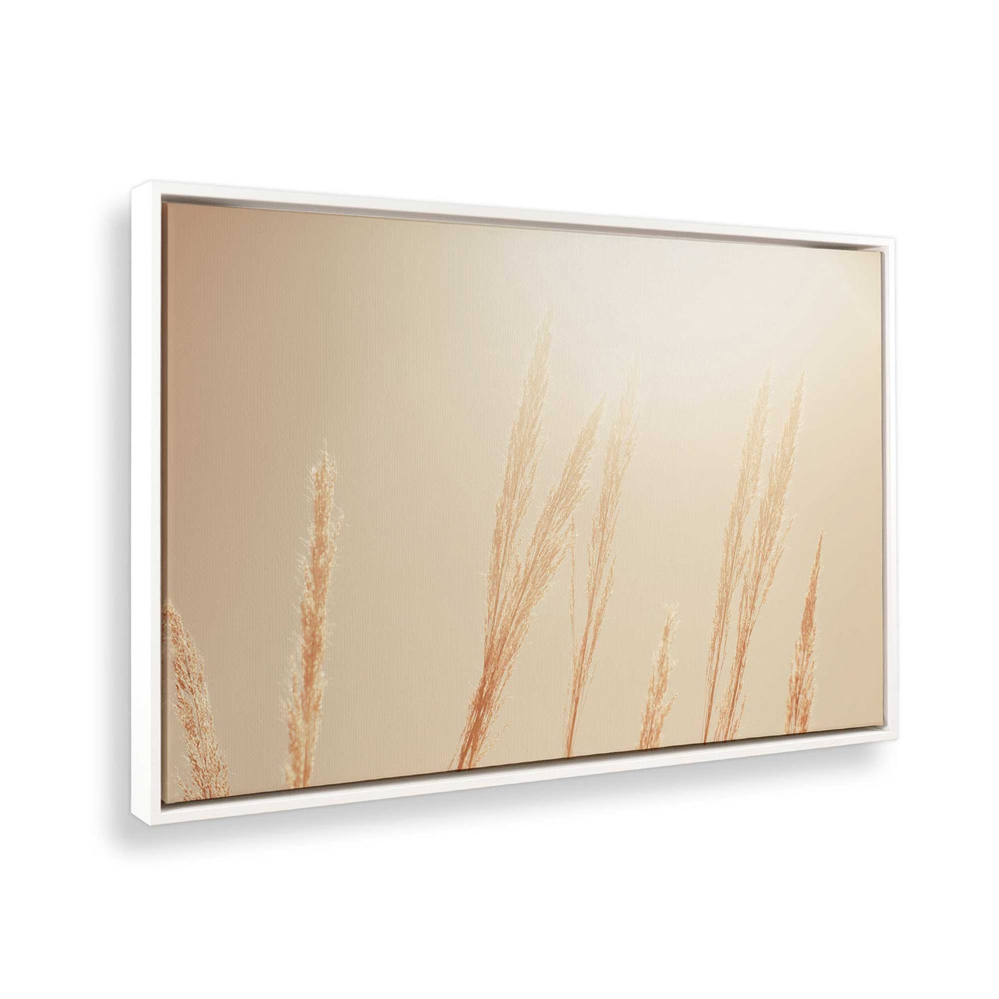 [Color:Opaque White], Picture of the corner of the art