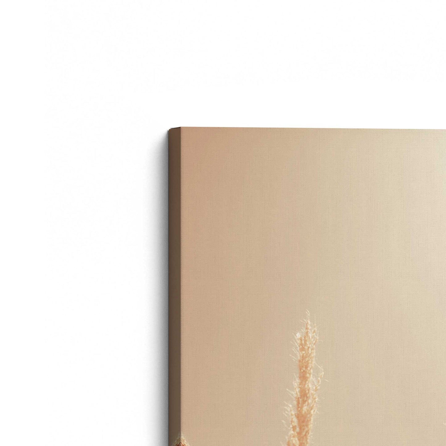 [Color:Stretched Canvas], Picture of the corner of the art