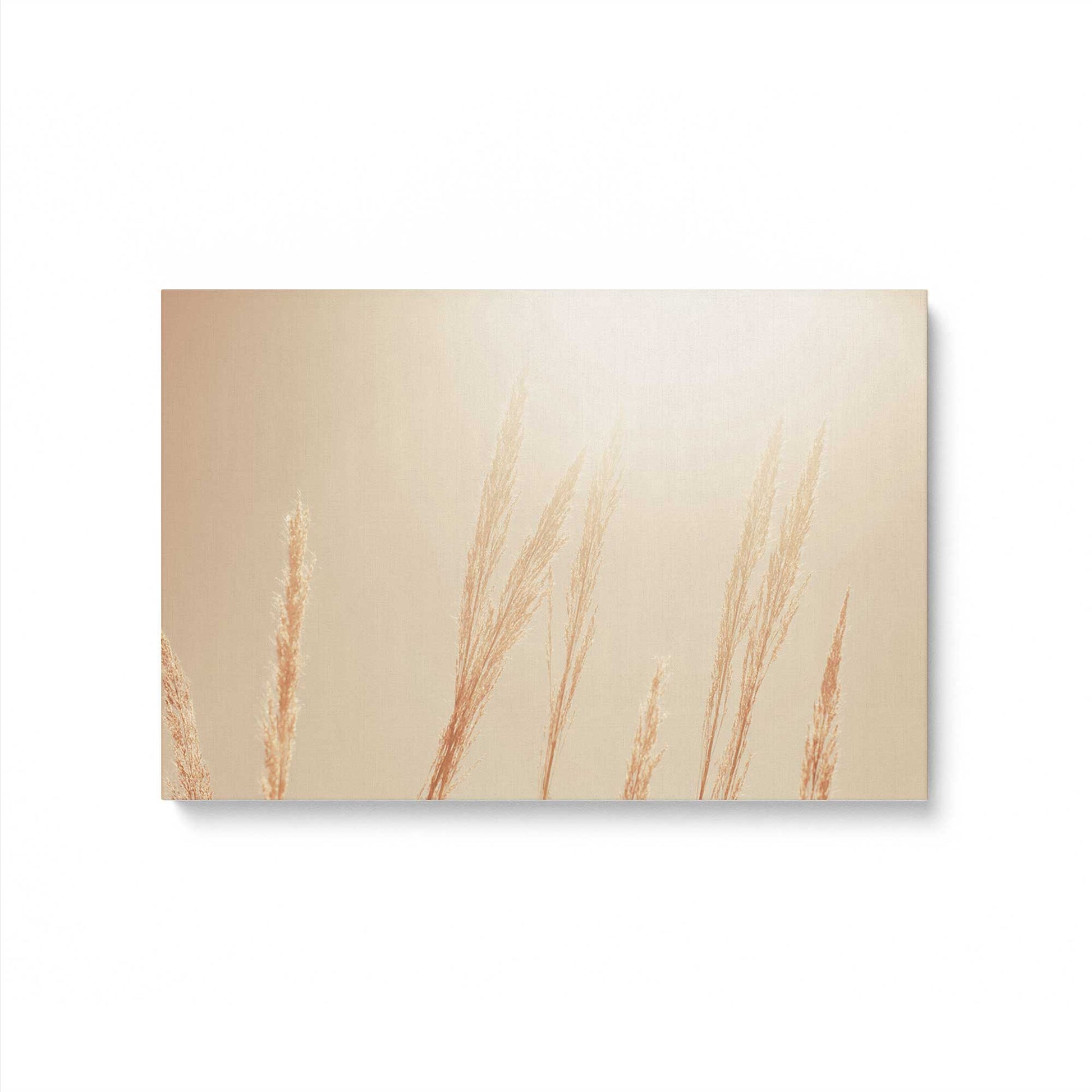 [Color:Stretched Canvas], Picture of art