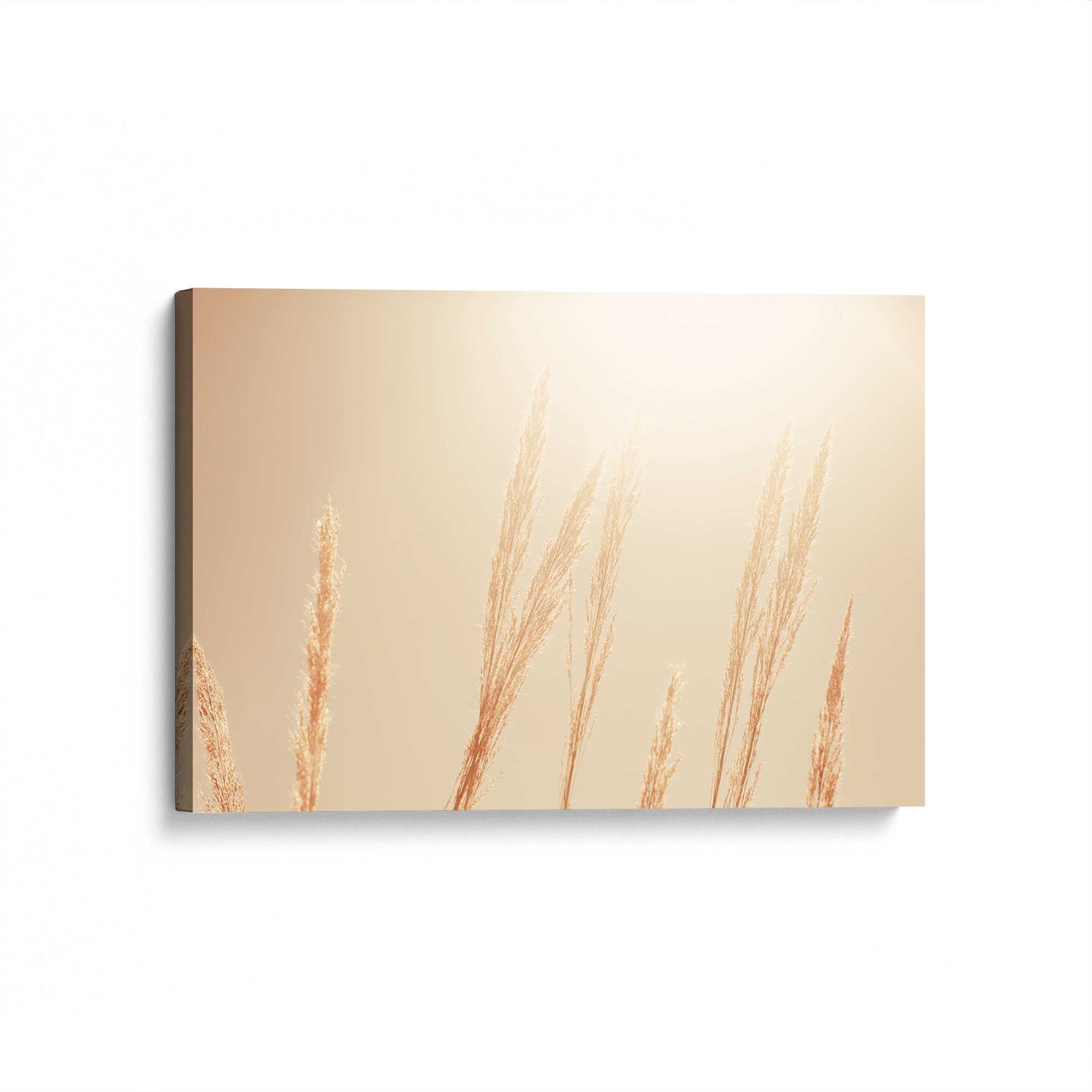 [Color:Stretched Canvas], Picture of art at an angle
