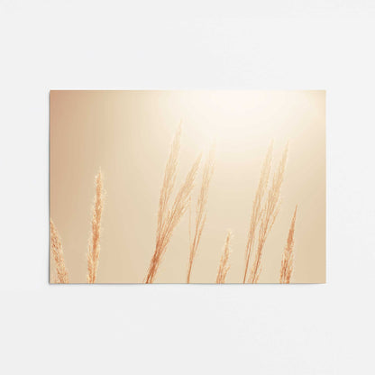 [color:Rolled Print], Picture of close up of art