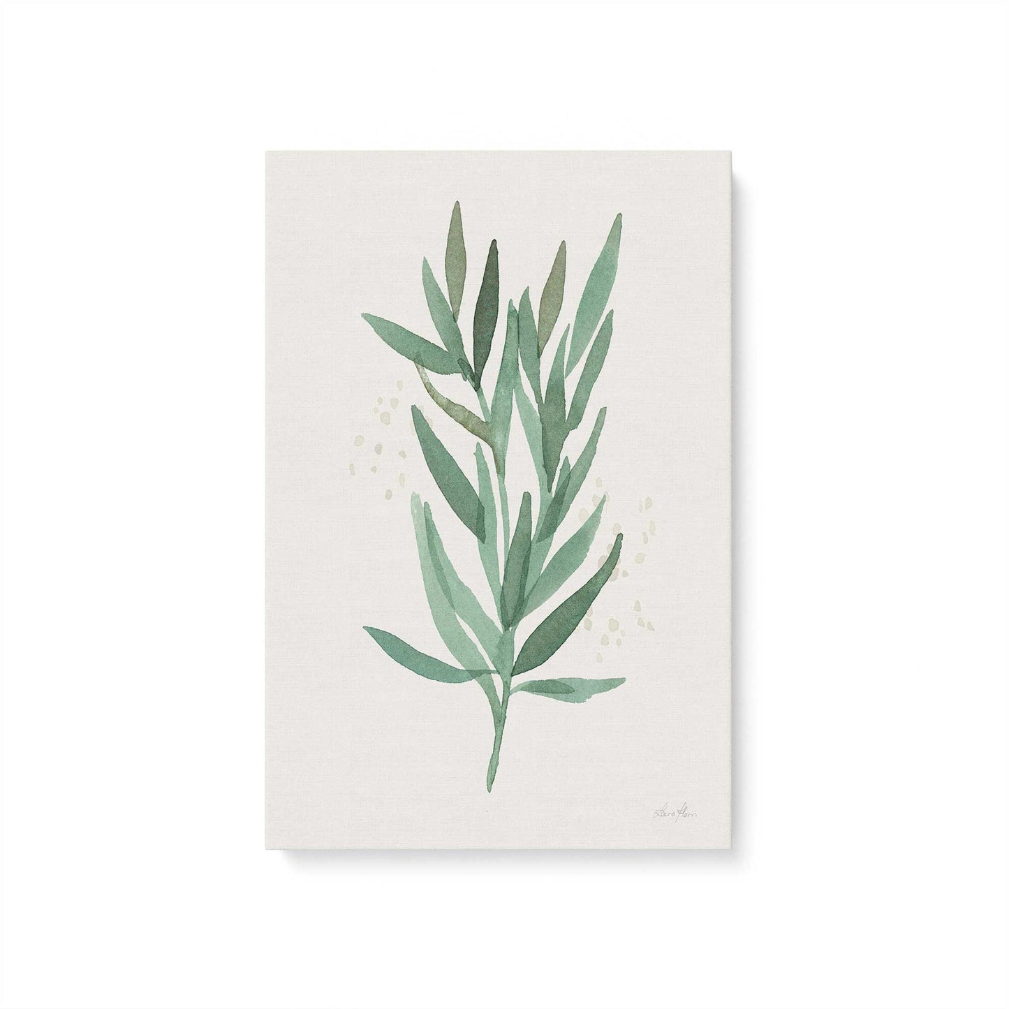 [Color:Stretched Canvas], Picture of art