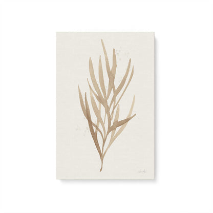 [Color:Stretched Canvas], Picture of art