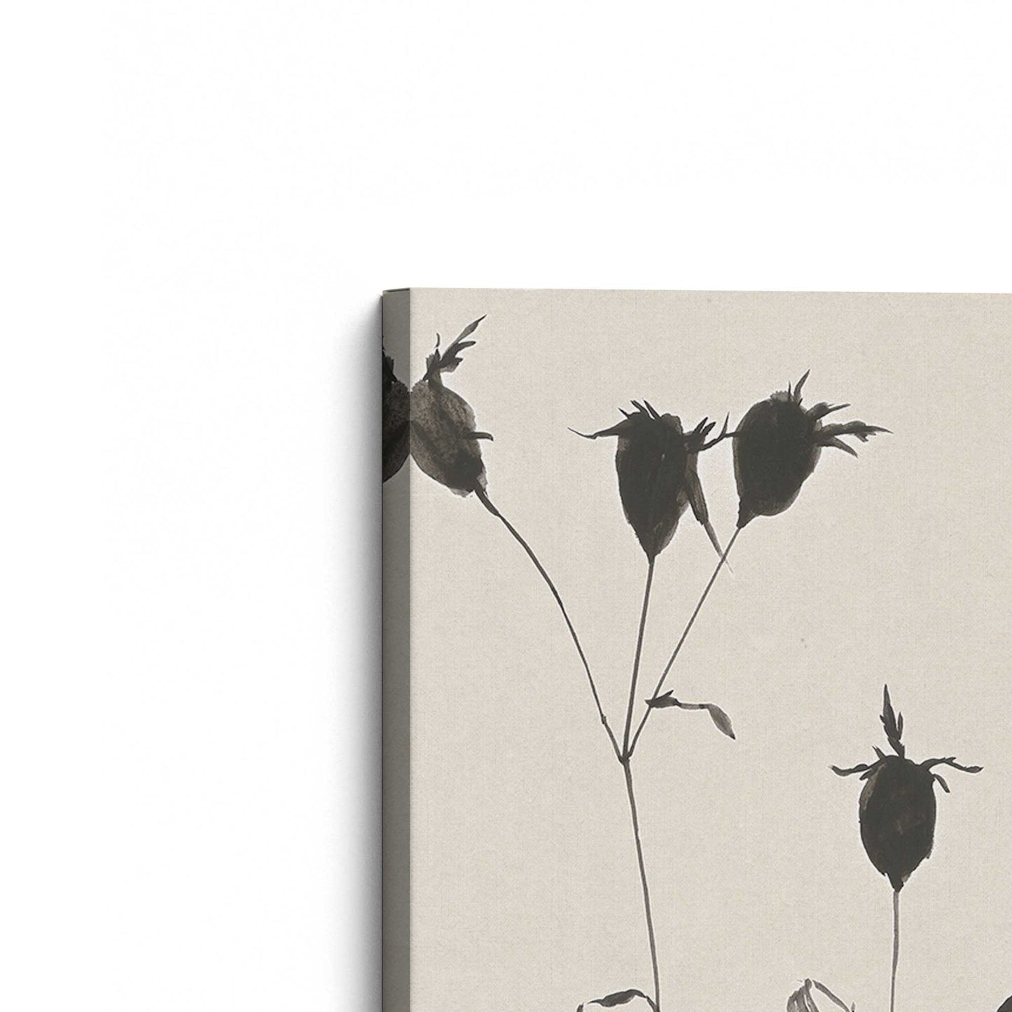 [Color:Stretched Canvas], Picture of the corner of the art