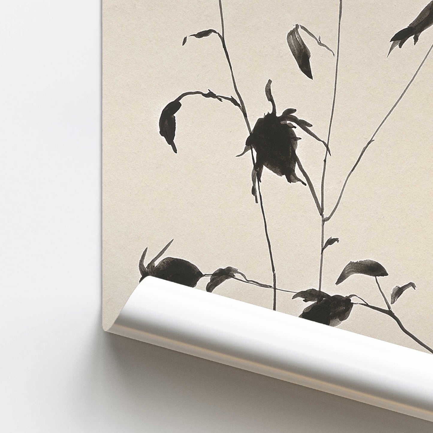 [color:Rolled Print], Picture of close up of art