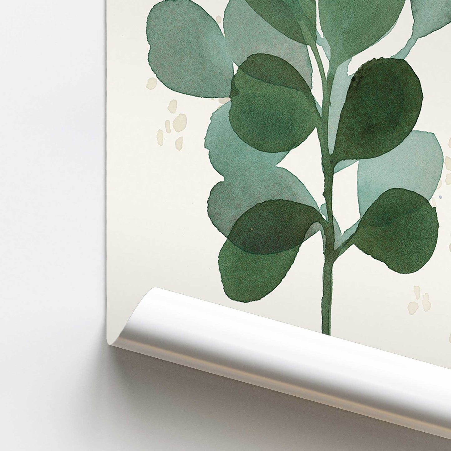 [color:Rolled Print], Picture of close up of art