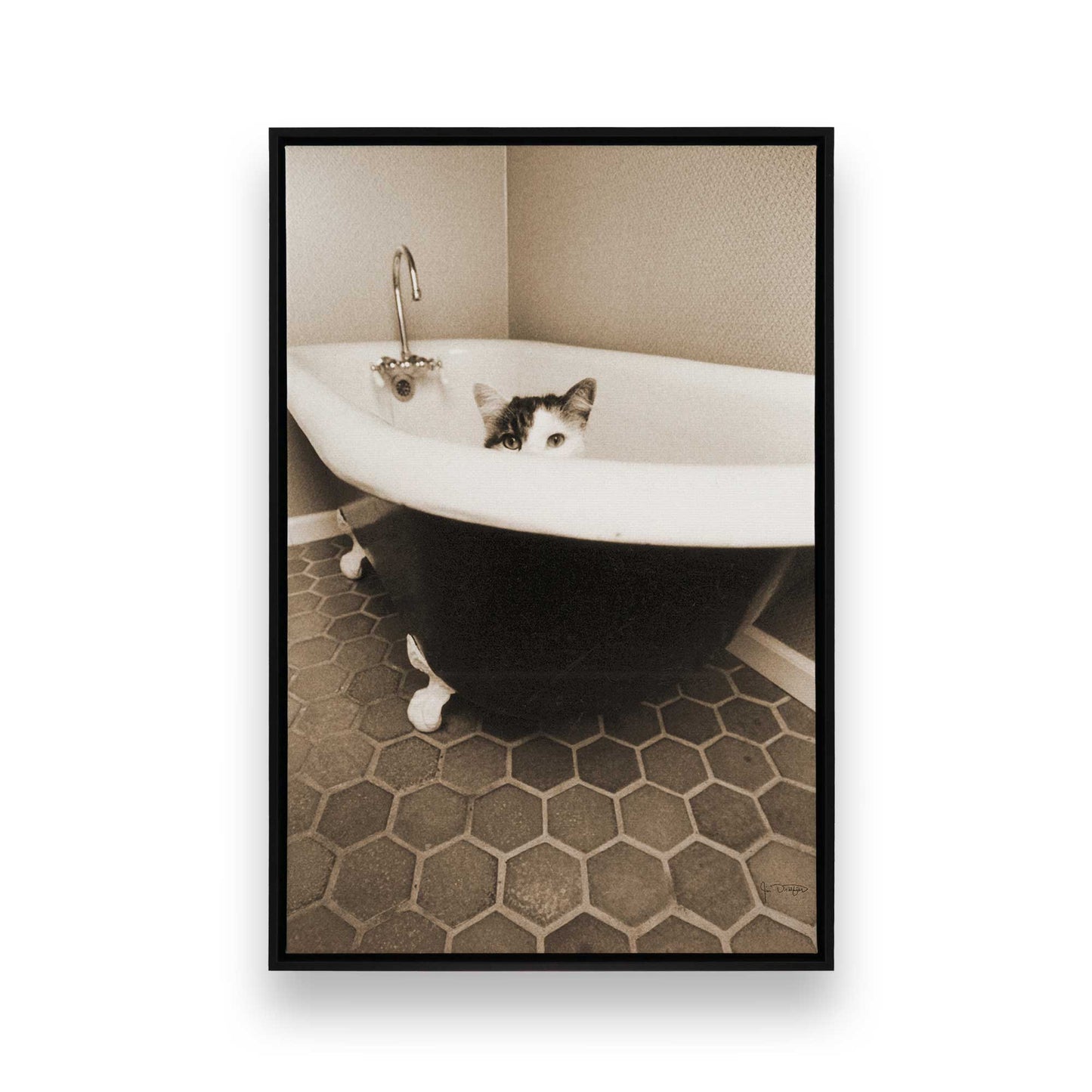 [Color:Satin Black], Picture of art in a Satin Black frame