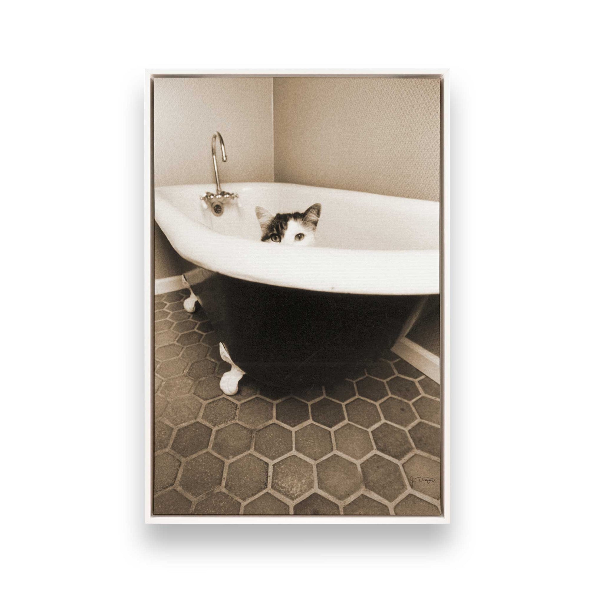 [Color:Opaque White], Picture of art in a White frame