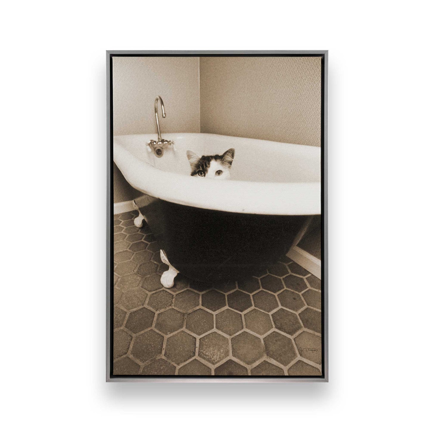 [Color:Polished Chrome], Picture of art in a Polished Chrome frame