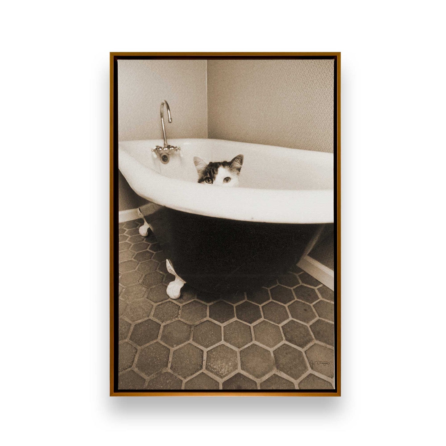 [Color:Polished Gold], Picture of art in a Polished Gold frame