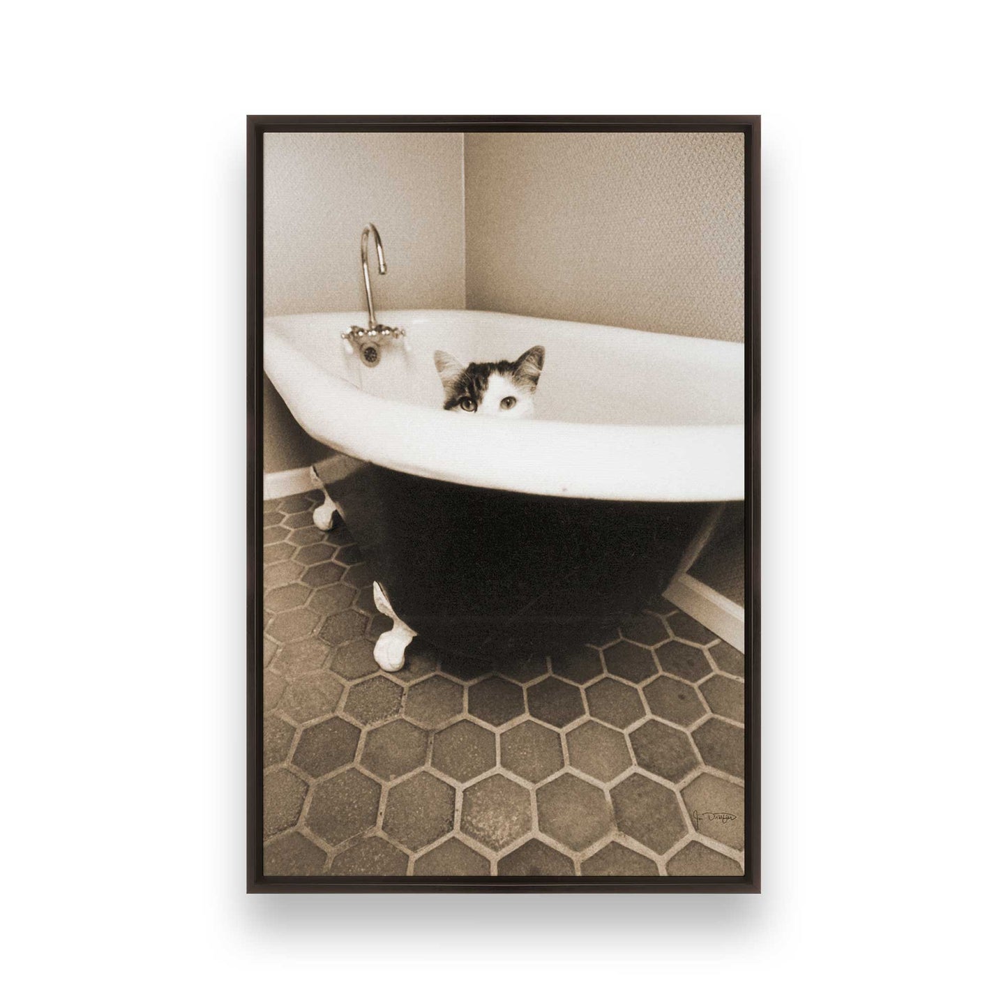 [Color:Espresso], Picture of art in a Espresso frame