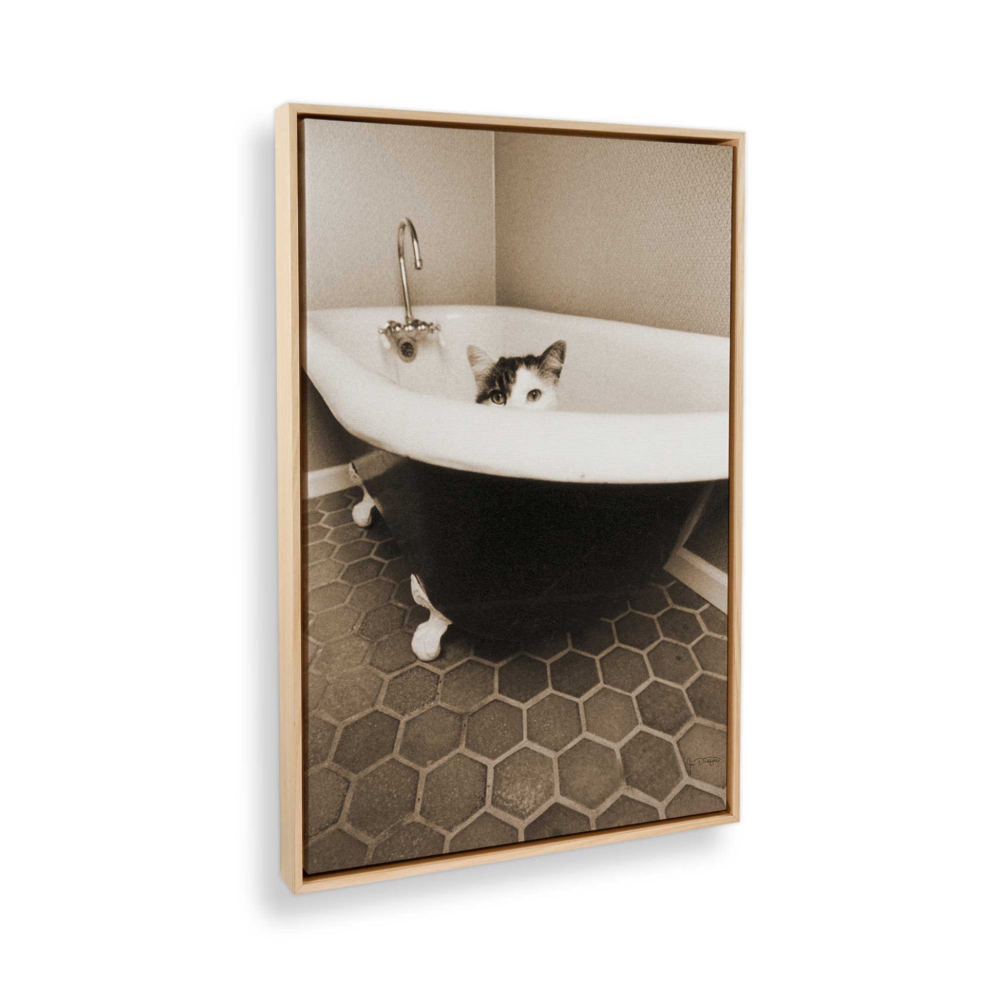 [Color:American Maple], Picture of the corner of the art