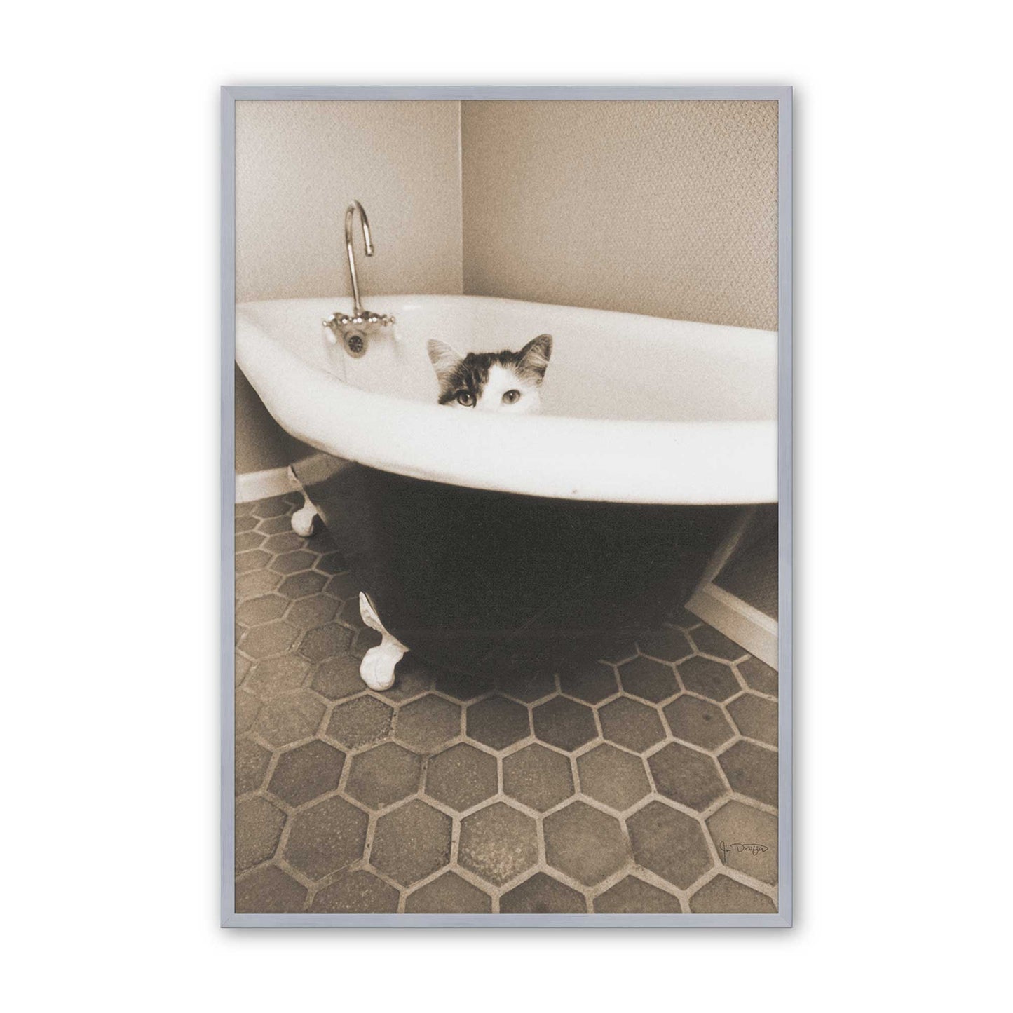 [Color:Polished Chrome], Picture of art in a Polished Chrome frame