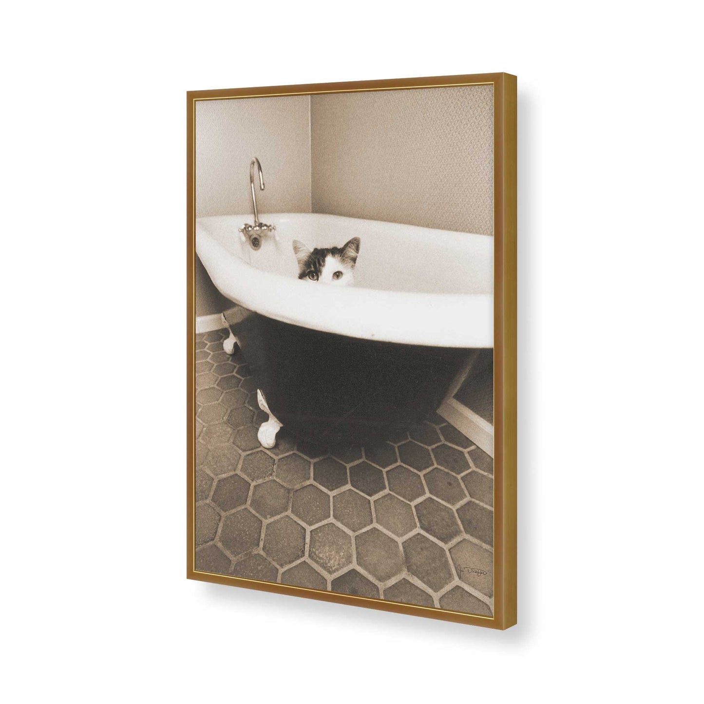[Color:Polished Gold], Picture of art in a Polished Gold frame of the corner