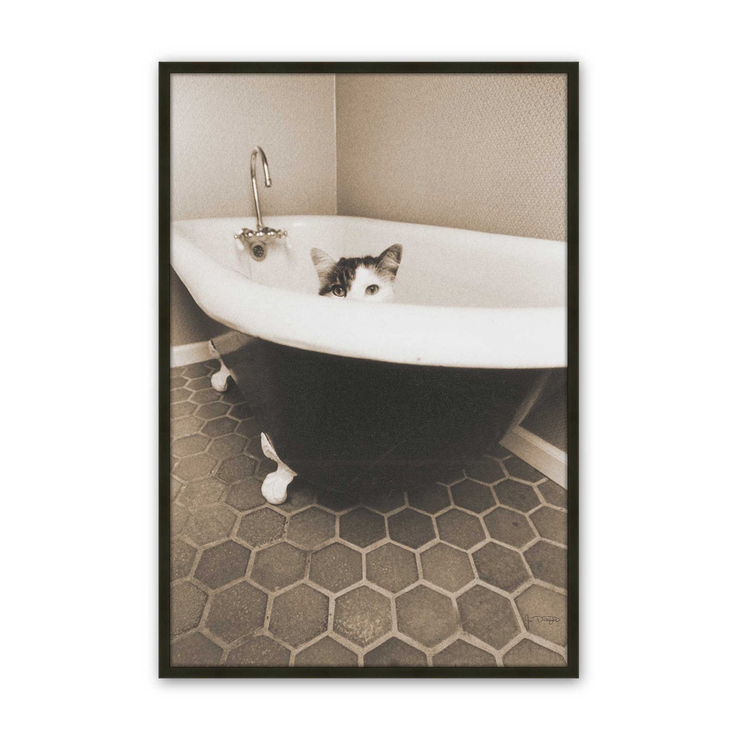 [Color:Satin Black], Picture of art in a Satin Black frame