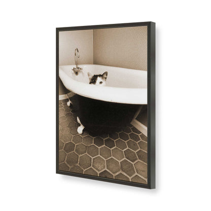 [Color:Satin Black], Picture of art in a Satin Black frame of the corner