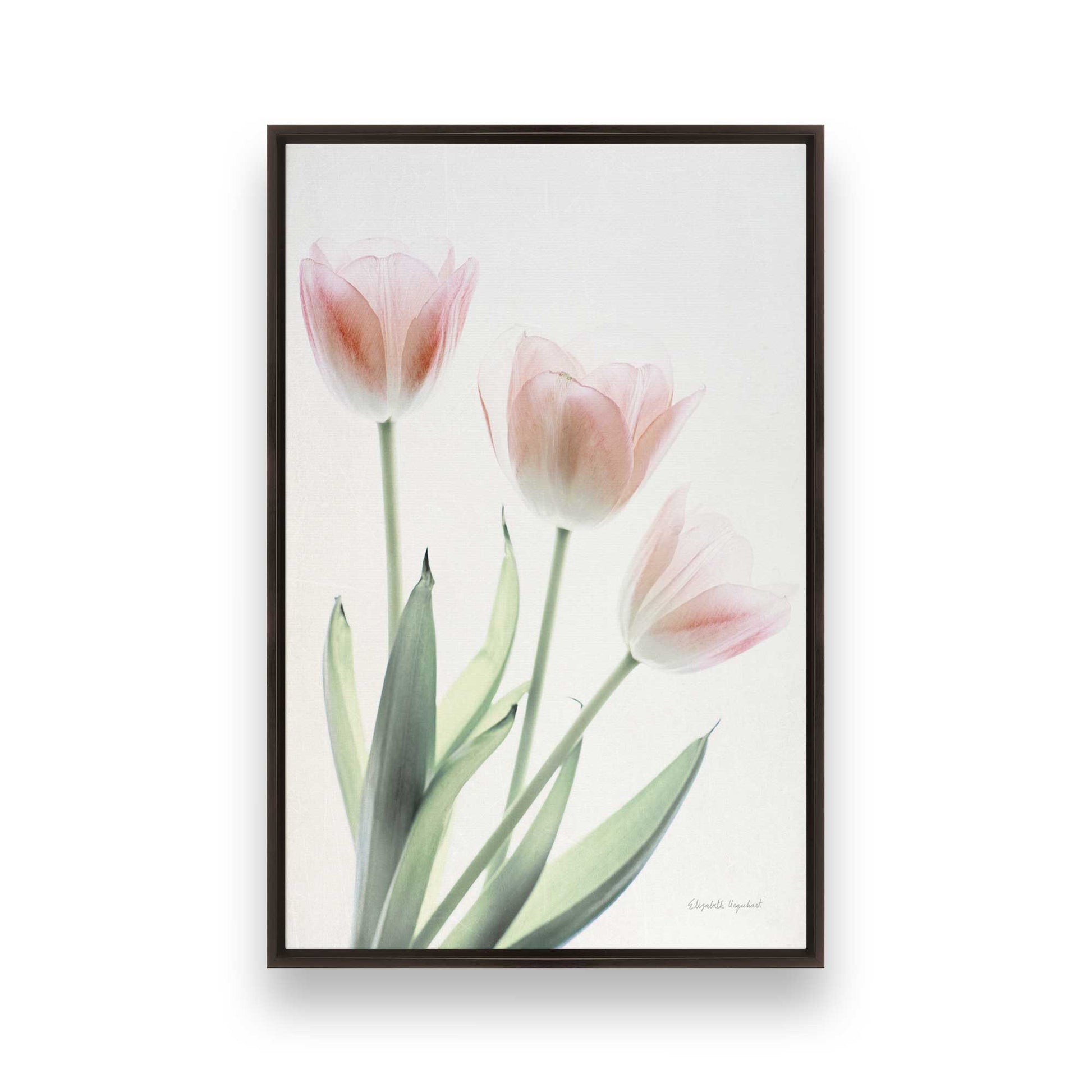 [Color:Espresso], Picture of art in a Espresso frame