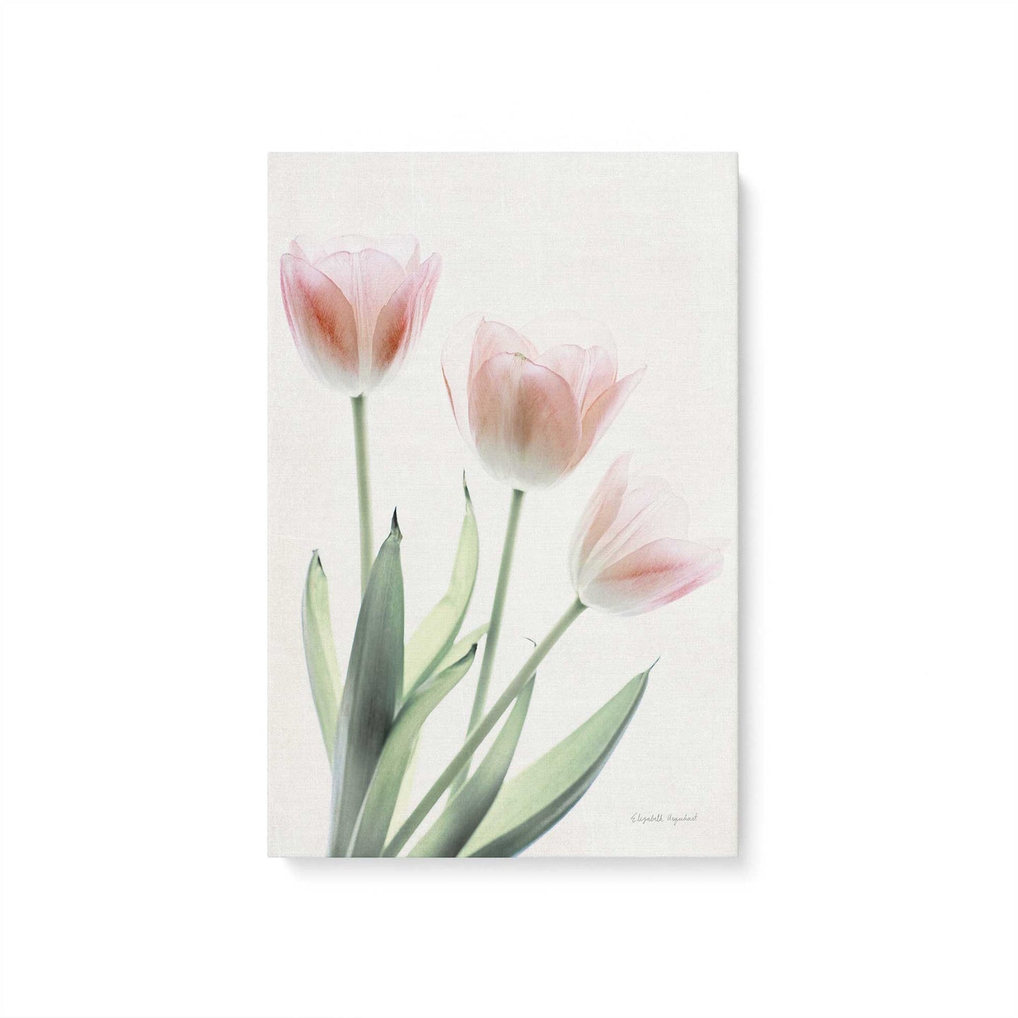 [Color:Stretched Canvas], Picture of art